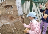 IMG-20250524-WA0064