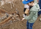 IMG-20250524-WA0065