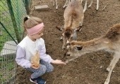 IMG-20250524-WA0066
