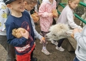 IMG-20250524-WA0079