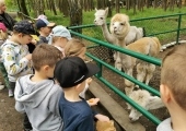 IMG-20250524-WA0082