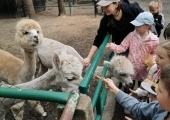 IMG-20250524-WA0085