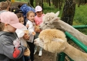 IMG-20250524-WA0086