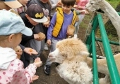 IMG-20250524-WA0087