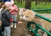 IMG-20250524-WA0088