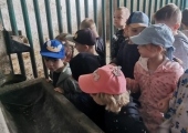 IMG-20250524-WA0093