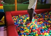 IMG-20250524-WA0159