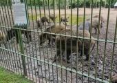 IMG-20250524-WA0182