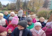 IMG_20221025_132147 (Copy)