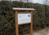 ogródek 03
