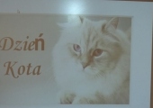 praca 491
