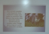 praca 493