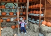 received_700618558081330